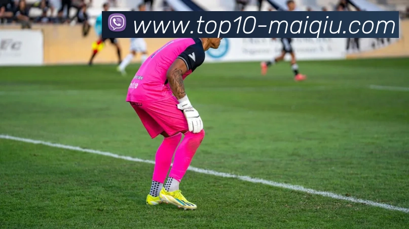 十大买球服务体系