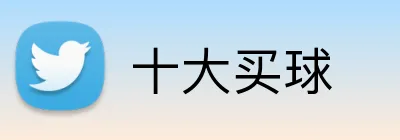 十大买球 Logo